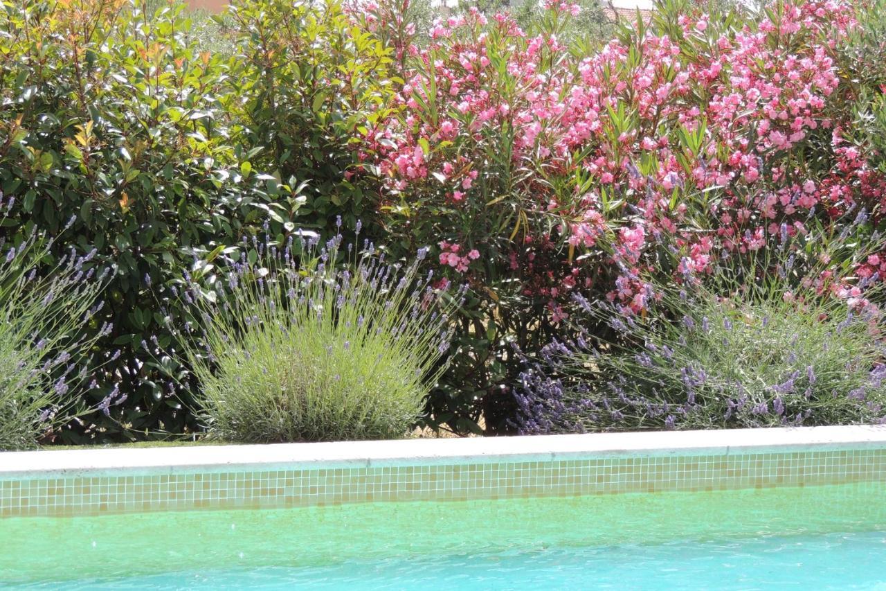 Villa Des Cigales Beaucaire  Buitenkant foto